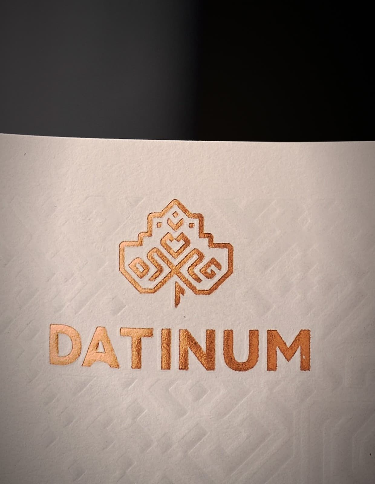 Detaliu identitate DATINUM